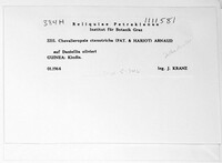 Image Associated With the Occurrence